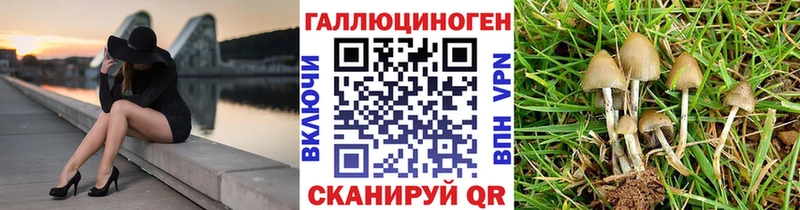 Псилоцибиновые грибы Psilocybe  Лермонтов 